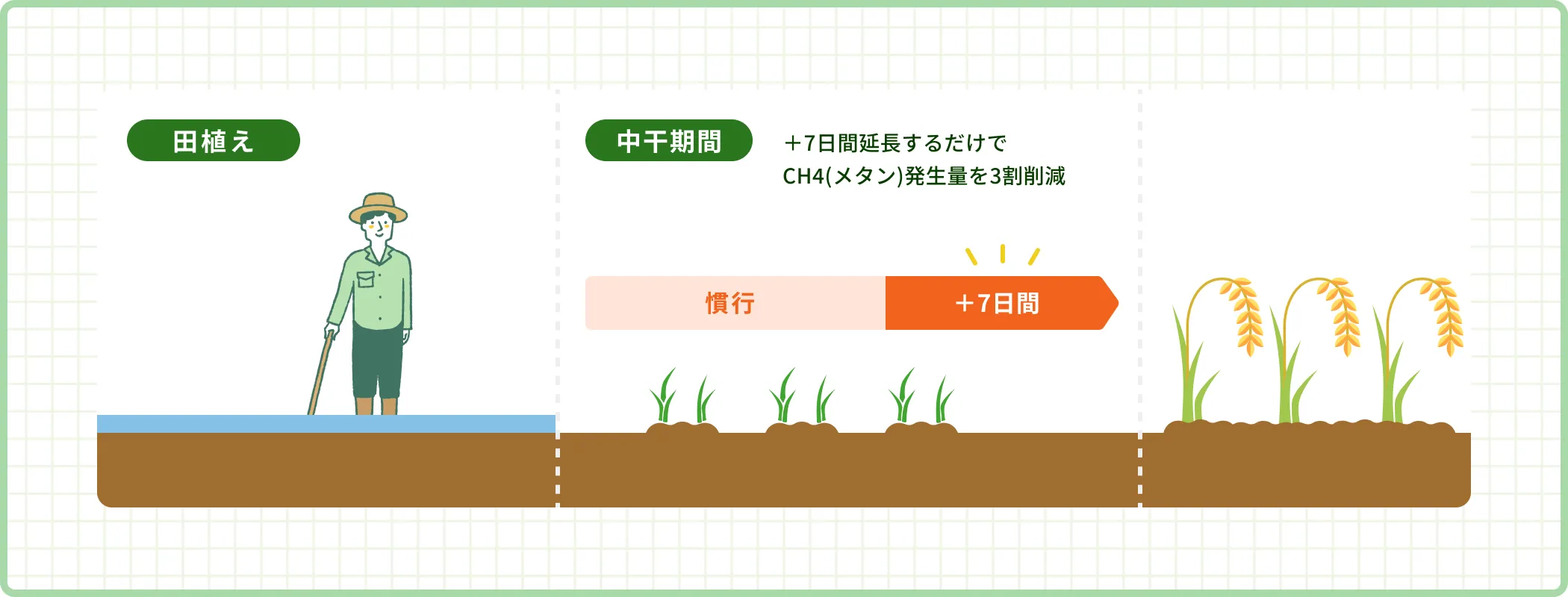 田んぼの中干期間延長の図解